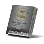 Platinum Pack for KORG PA-4X